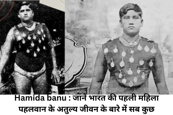 Hamida banu